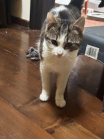 /album/89/whatsapp-image-2026-04-28-at-18-50-19-1-jpeg/